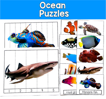 Ocean Puzzles (With Real Photos)