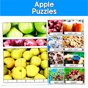 Apple Number Puzzles Real Photos | 14 Photos 2 Levels | SLP SPED Autism Math