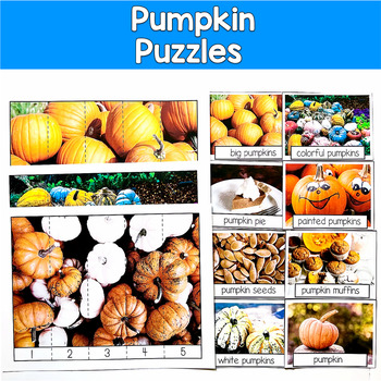 Pumpkin Number Puzzles Real Photos | 17 Photos 2 Levels | SLP SPED Autism Math