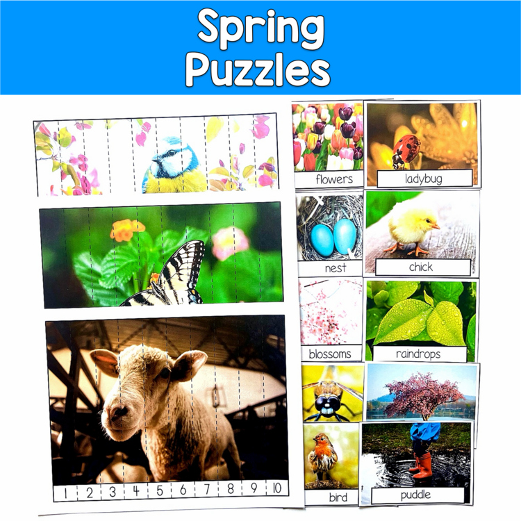 Spring Number Puzzles Real Photos | Sequencing 1-10 | SLP SPED Autism