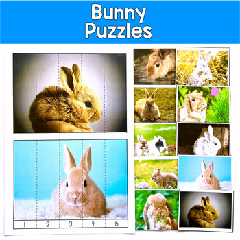 Bunny Number Puzzles Real Photos | 20 Bunnies 2 Levels | SLP SPED Autism Math