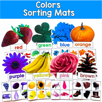 Color Sorting Mats Real Photos | Color Identification 11 Colors | SPED Autism