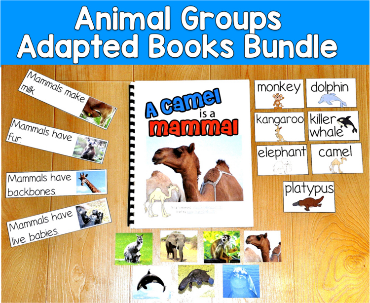 Animal Groups Adapted Books Mini-Bundle