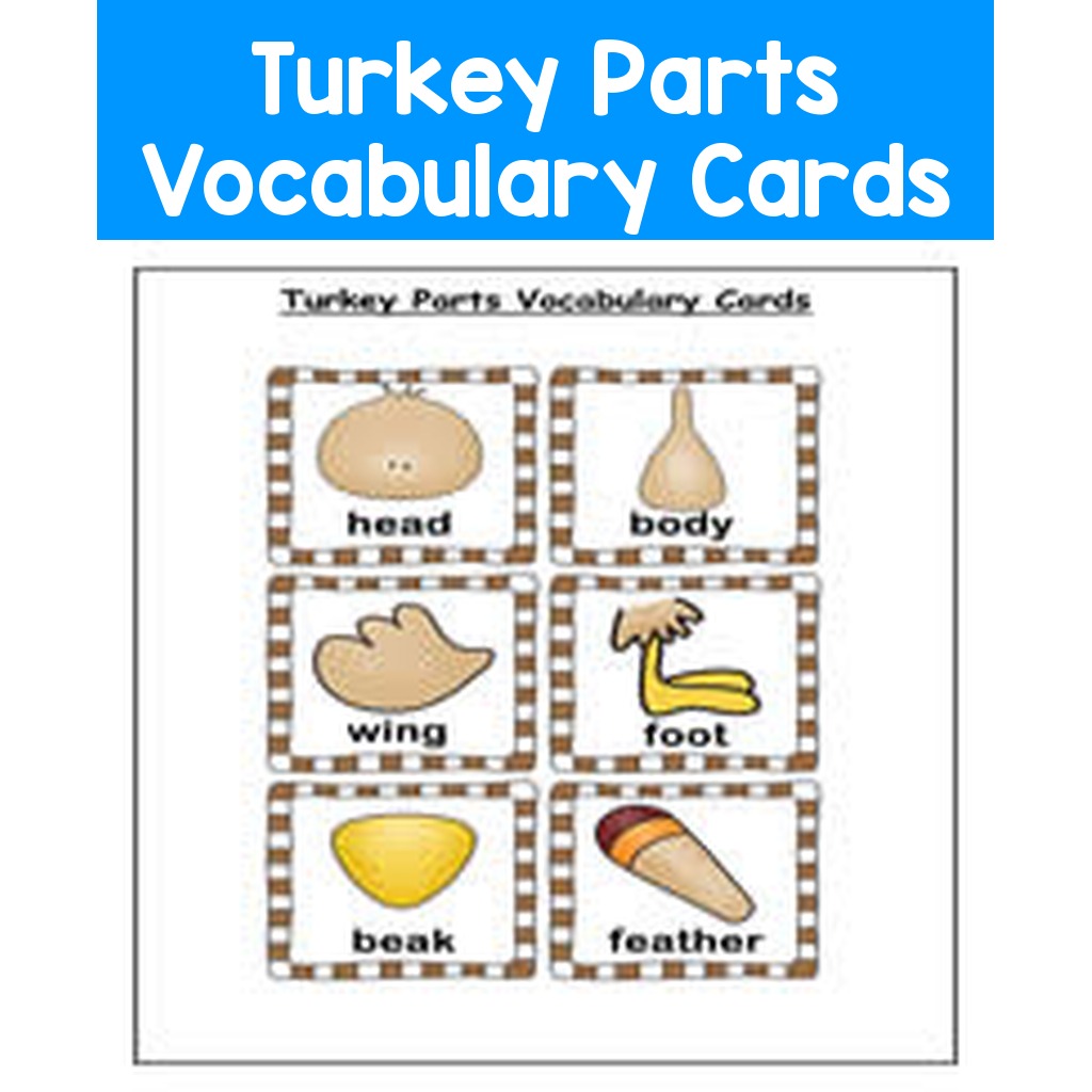 Turkey Parts Vocabulary Cards