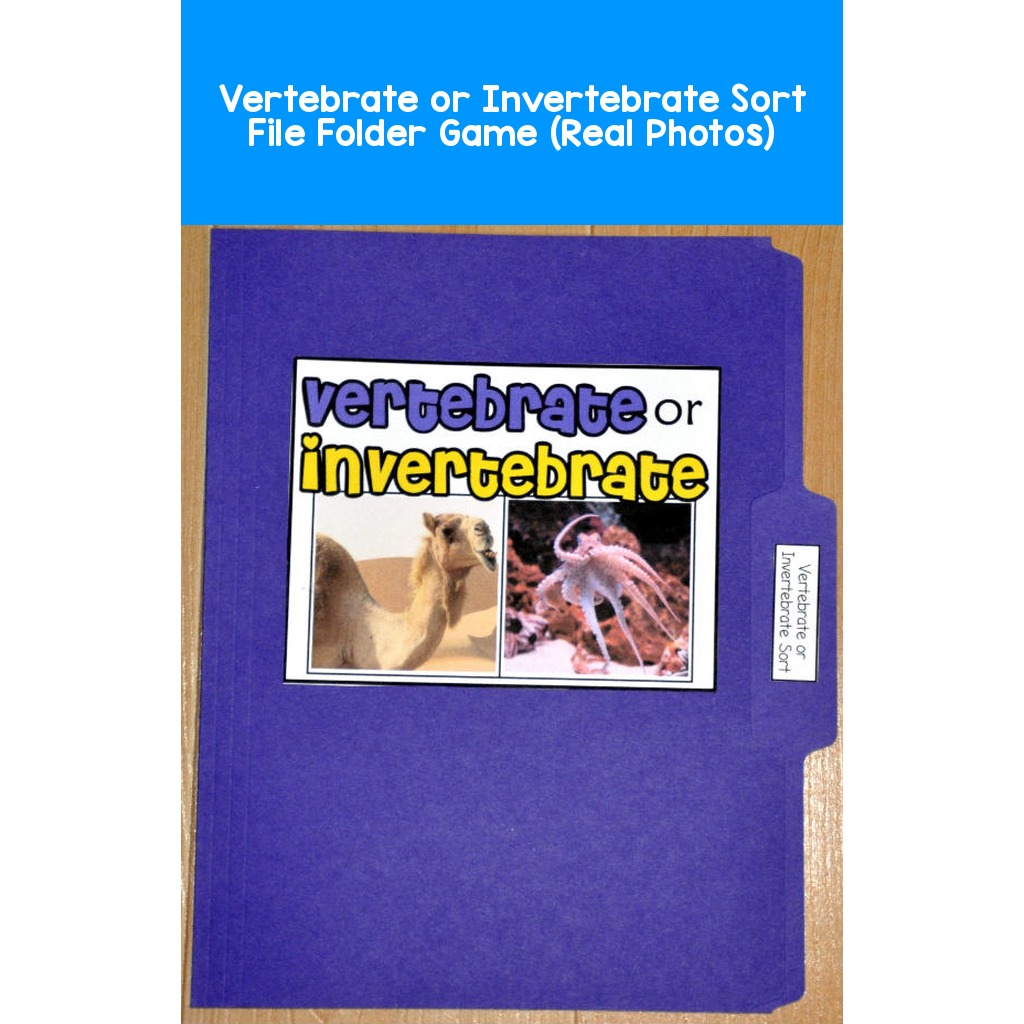 Vertebrate or Invertebrate Sort File Folder Game (Real Photos)
