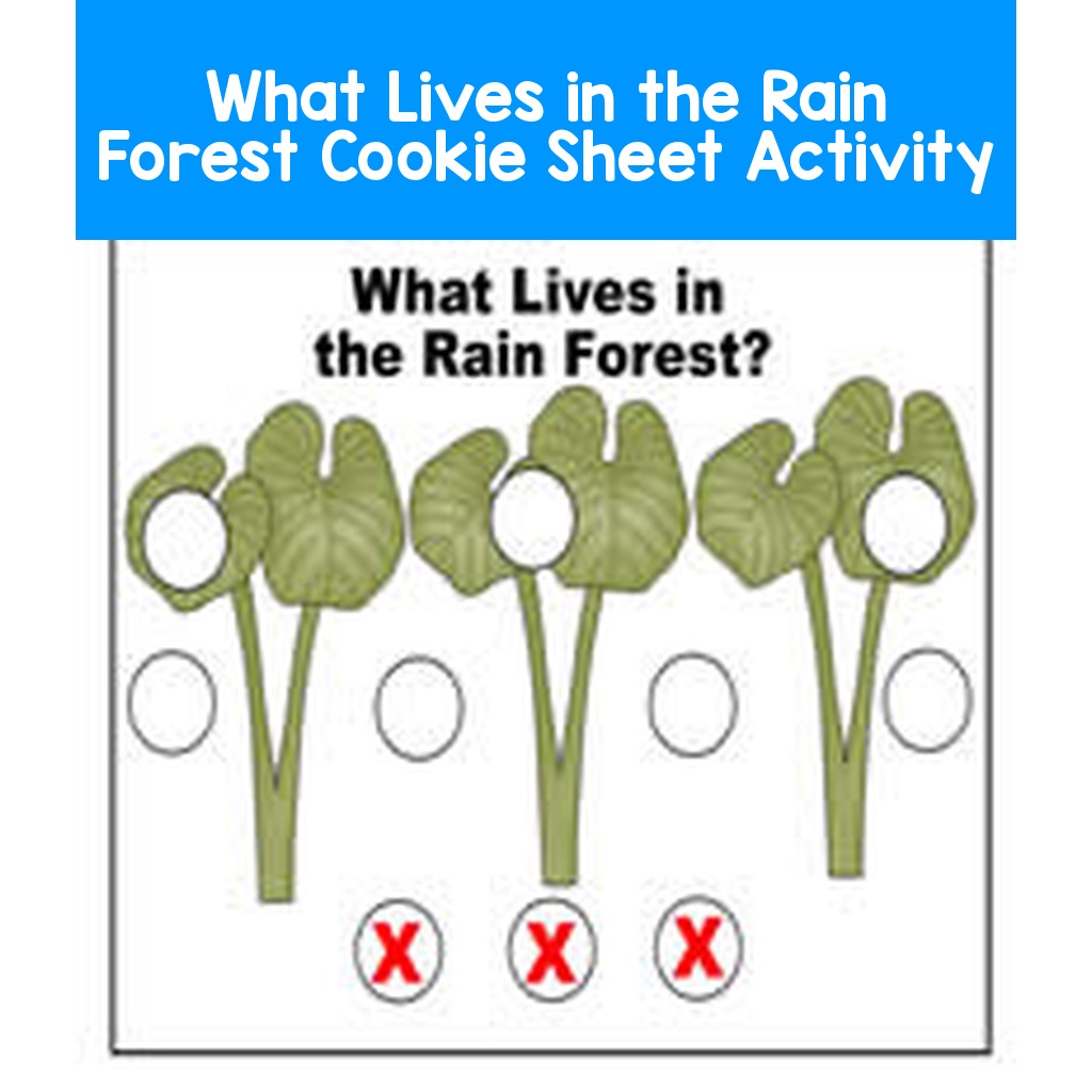 What Lives in the Rain Forest Cookie Sheet Activity