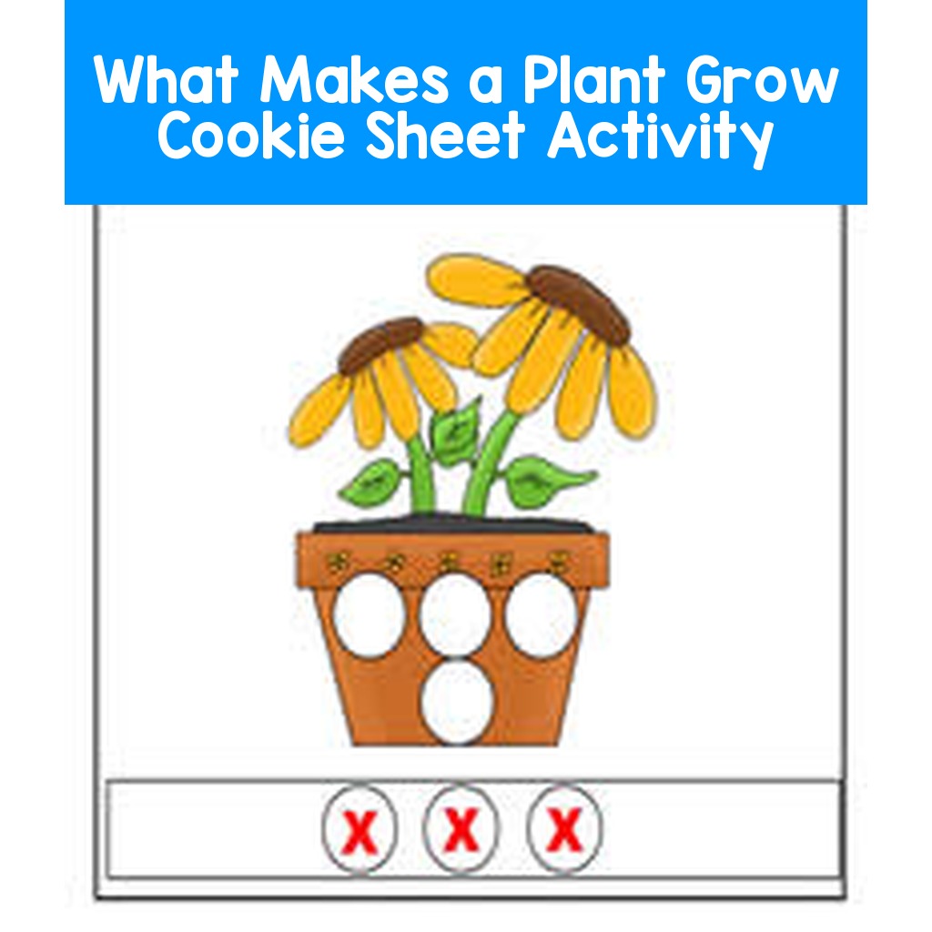 What Makes a Plant Grow Cookie Sheet Activity