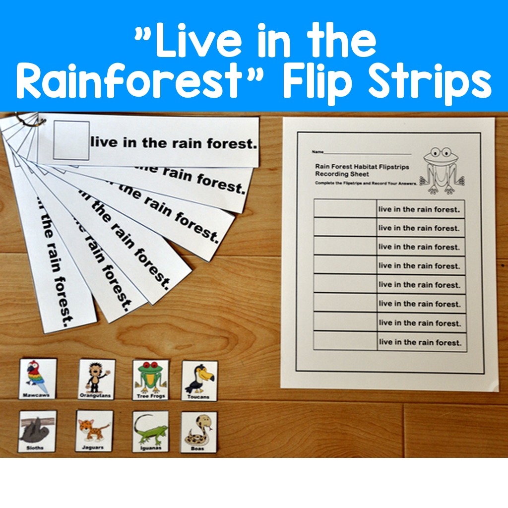 "Live in the Rainforest" Flip Strips