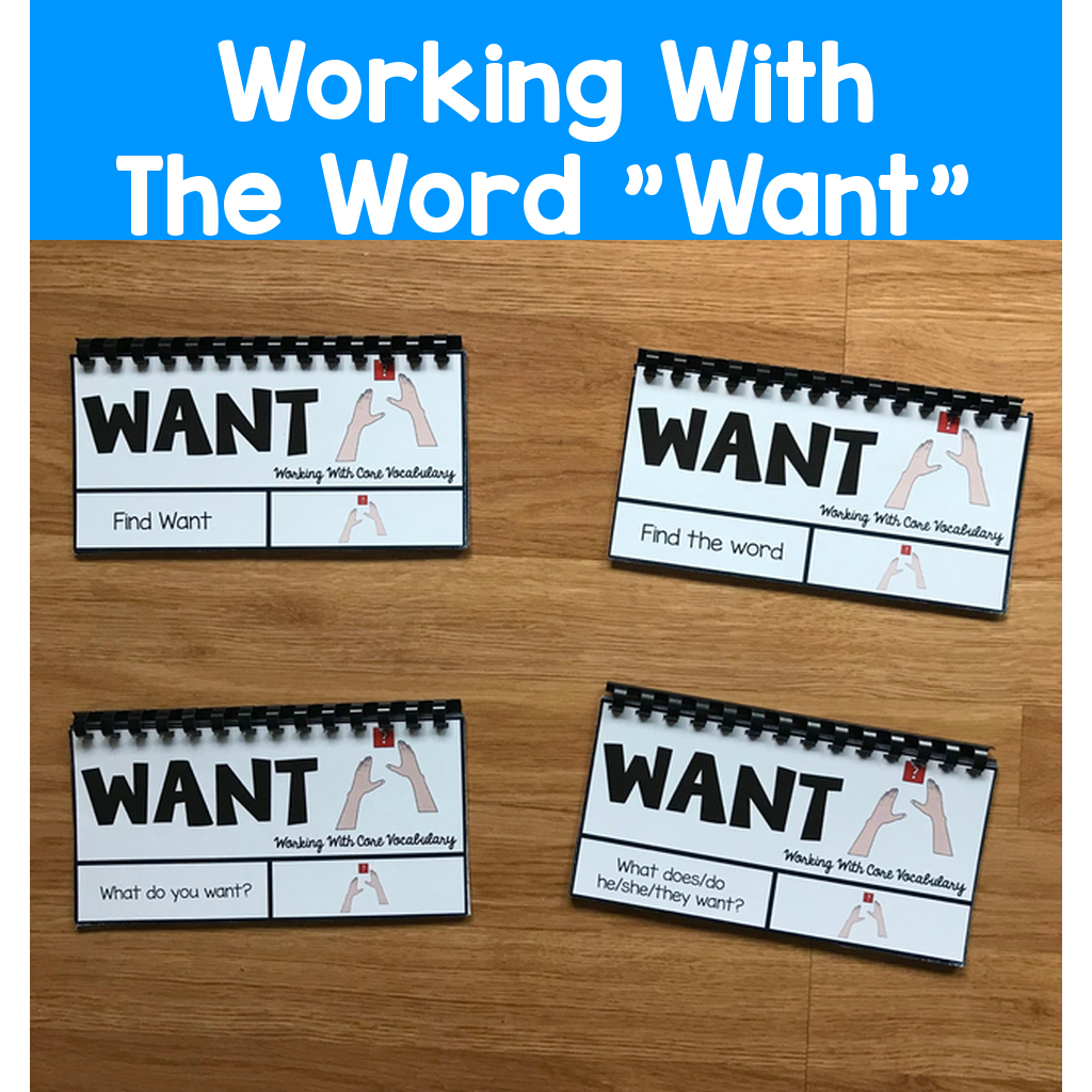 Core Vocabulary Flip Books:  "Working With the Word Want"
