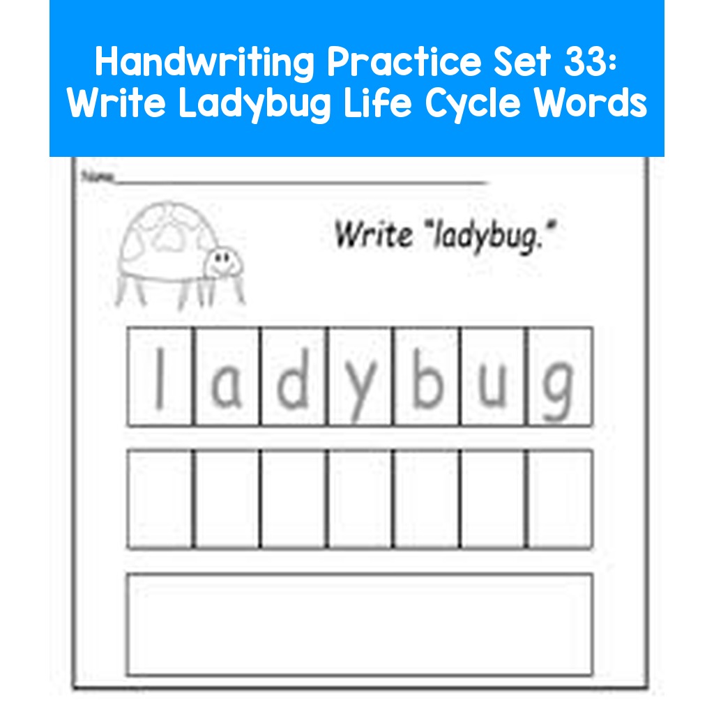 Handwriting Practice Set 33: Write Ladybug Life Cycle Words
